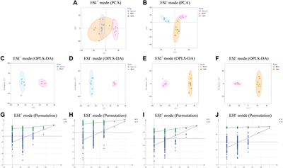 Prolonged administration of total glucosides of paeony improves intestinal immune imbalance and epithelial barrier damage in collagen-induced arthritis rats based on metabolomics-network pharmacology integrated analysis